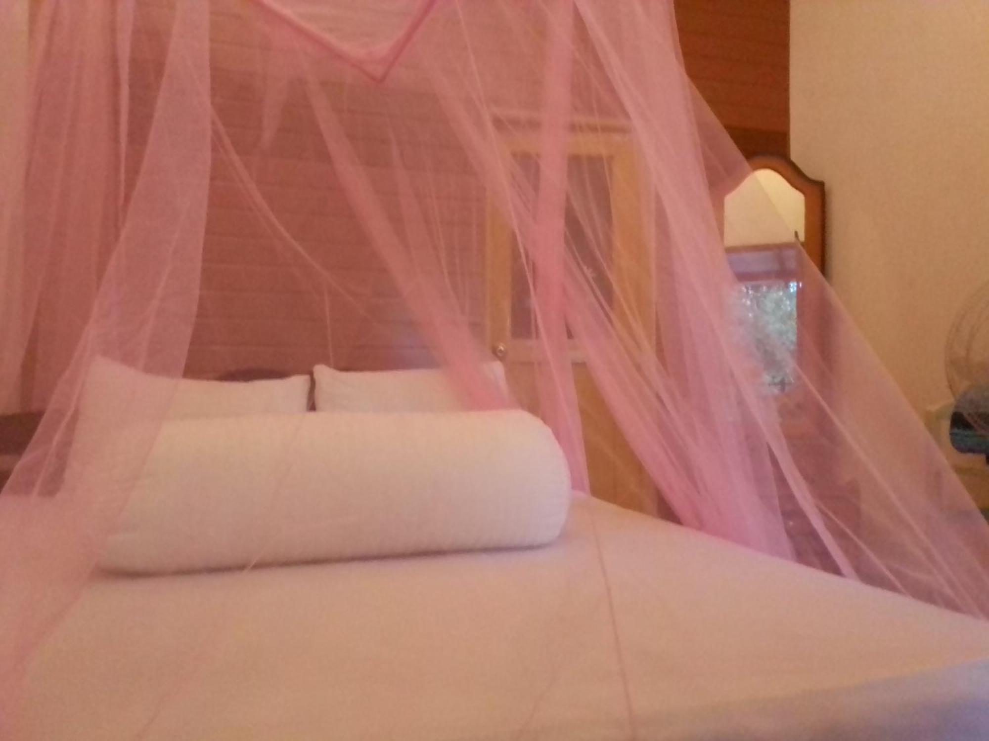 Talblick Homestay אלה חדר תמונה