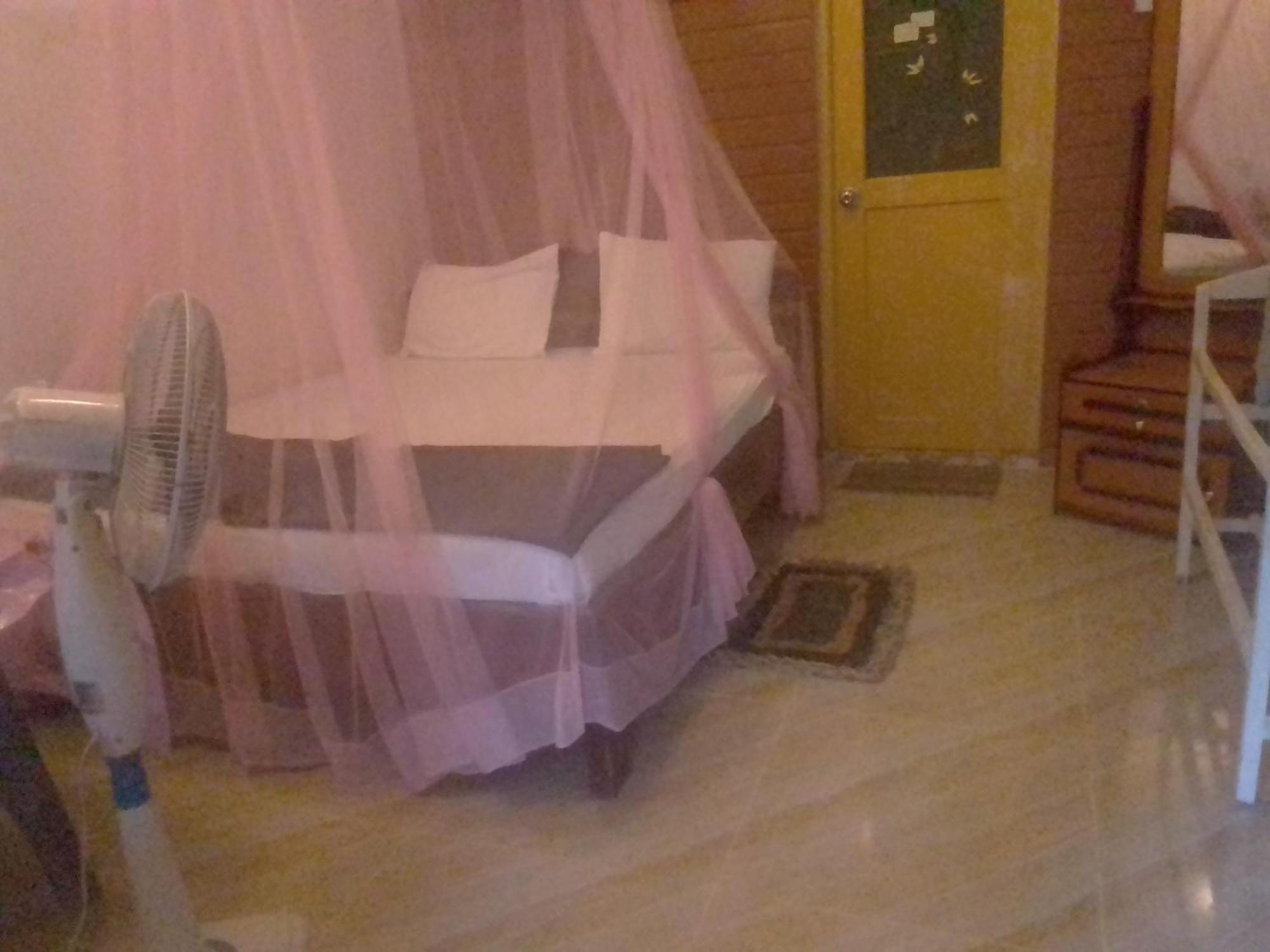 Talblick Homestay אלה חדר תמונה